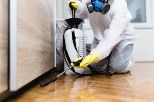 Best Pest Control for Homes  in Crestwood, MO