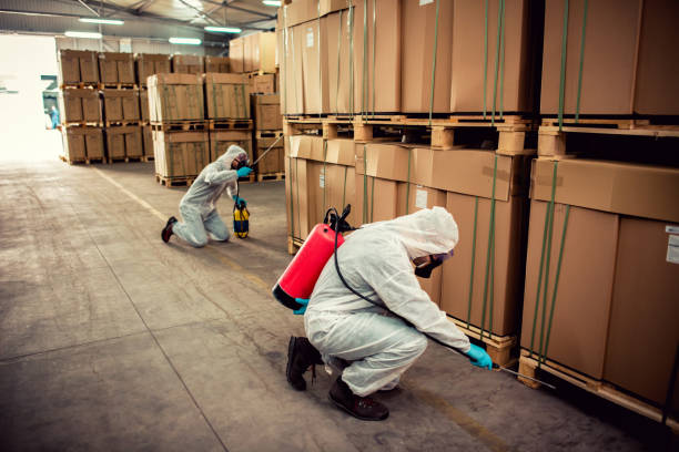 Best Wildlife Control Services  in Crestwood, MO