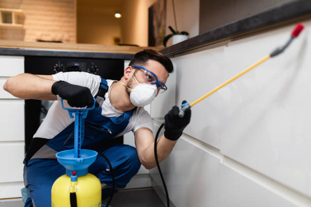  Crestwood, MO Pest Control Pros