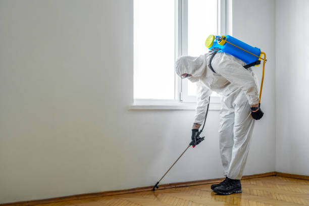 Best Pest Control Near Me  in Crestwood, MO