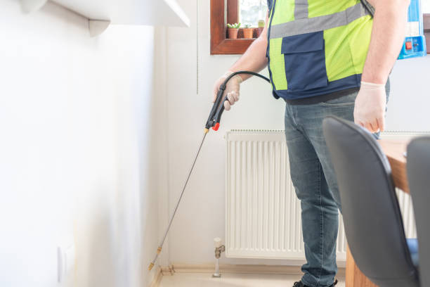 Best Flea Control Services  in Crestwood, MO