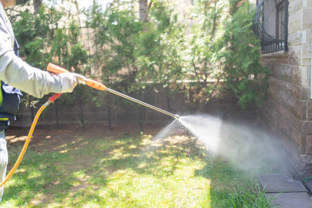Best Residential Pest Control  in Crestwood, MO