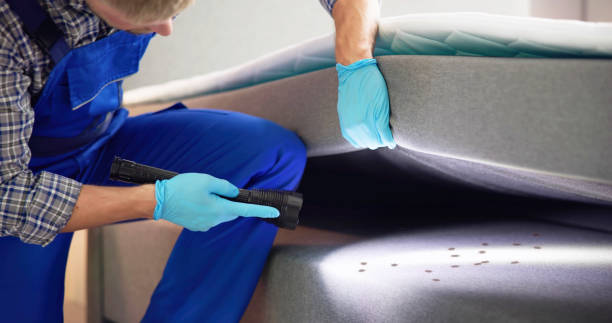 Best Wasp Removal Services  in Crestwood, MO
