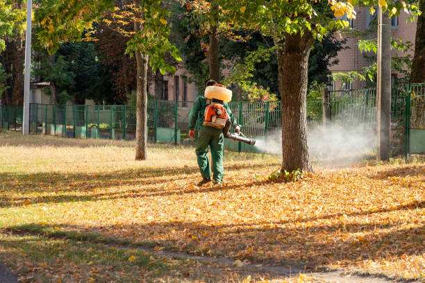 Best Spider Control Near Me  in Crestwood, MO