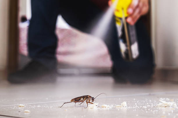 Best Affordable Pest Control Services  in Crestwood, MO