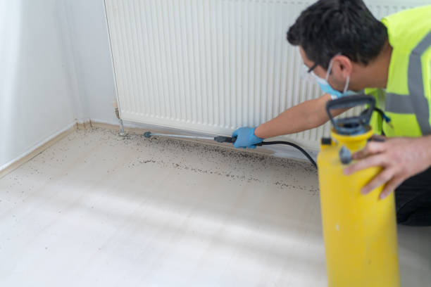 Best Best Pest Control Companies  in Crestwood, MO